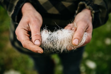 A man holds a tuft of wool 