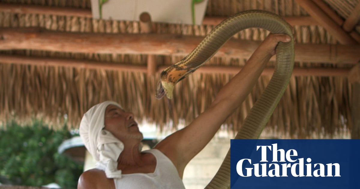 ‘Even the good guys were doing bad things’: the wild, twisted story behind the new Tiger King
