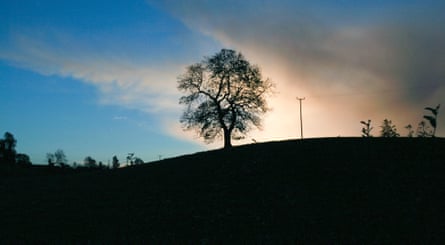 A bare tree silhouetted on a hilltop against a colourful sunset sky in Fivemiletown