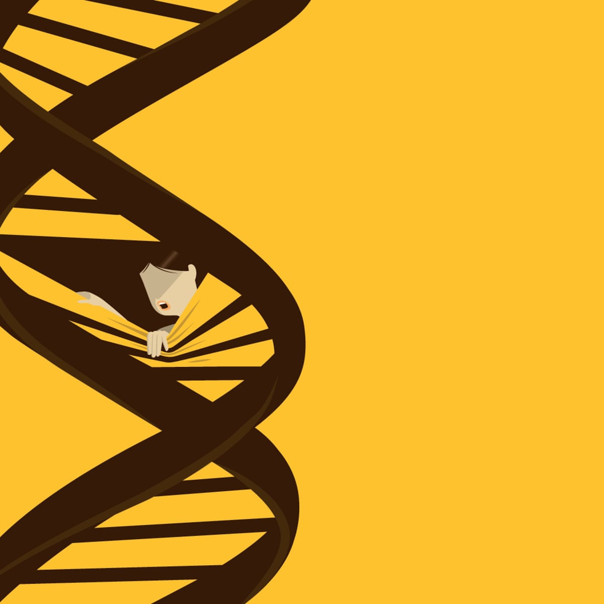 The big idea: how much do we really want to know about our genes? | Genetics | The Guardian The big idea: how much do we really want to know about our genes? | Genetics | The Guardian