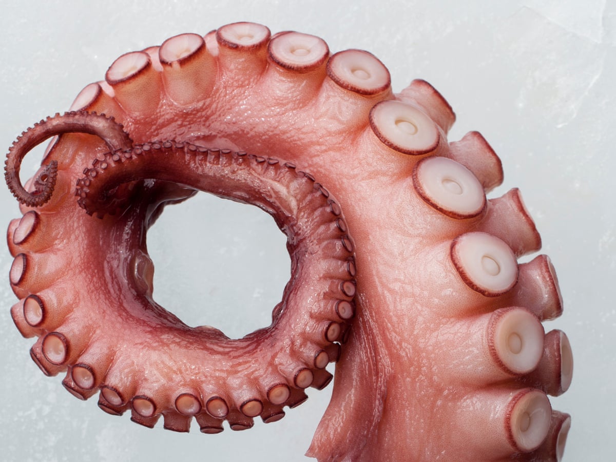 Octopus Pot Syndrome Why A Broken Heart Can Be As Bad As Cardiac Arrest Heart Attack The Guardian Octopus Pot Syndrome Why A Broken Heart Can Be As Bad As Cardiac Arrest Heart Attack The Guardian