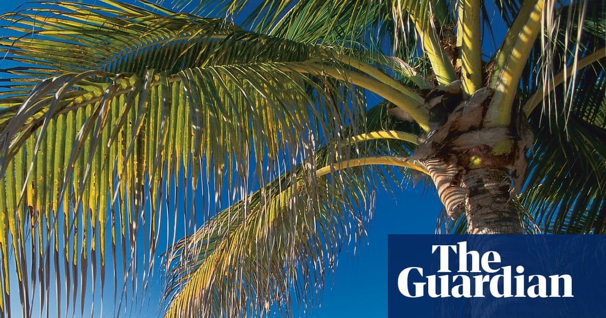 ‘A mockery’: how offshore tax havens are thwarting the UK’s transparency push