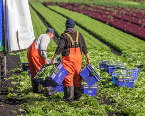 More than 80% of UK farmers worried about climate crisis harming livelihood, study finds | Farming | The Guardian