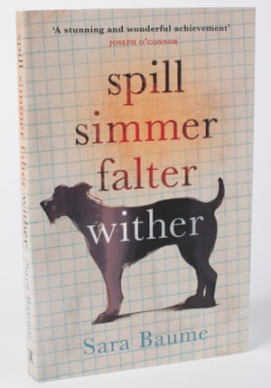 Spill Simmer Falter Wither by Sara Baume
