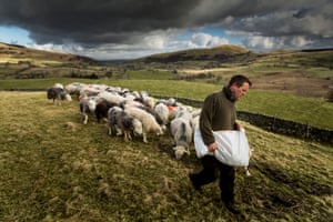 Thomond. MATTERDALE END 24th March 2015 - Herdwick shepherd James Rebanks working on his farm at Matterdale End in Cumbria.