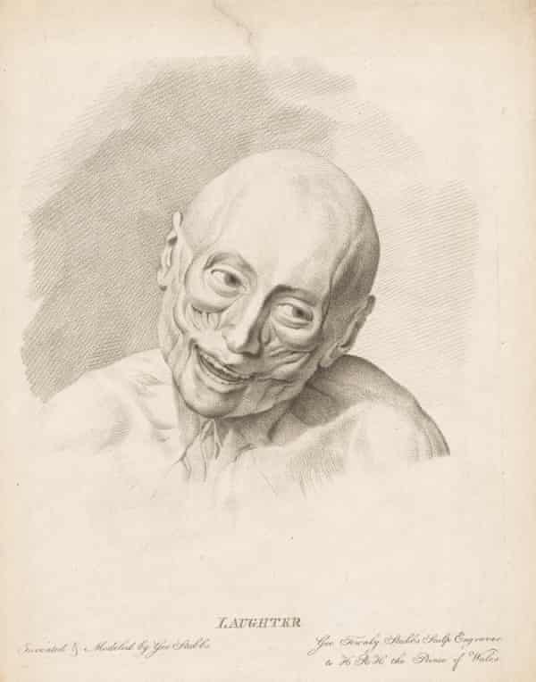 Clinical irony … Laughter, one of George Stubbs’s anatomical studies.
