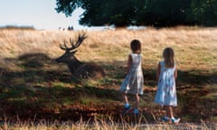Two Little Girls and a Red Deer<br>The innocent postures of two young girls in their colorful summer dresses inquisitively approaching a resting Red deer Stag under the shade of a large tree in Richmond Park.One of the many varied urban and natural scenics available to Londoners and visitors to the capital city of England