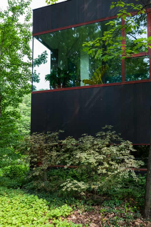 In the frame: huge windows bring the outside in.