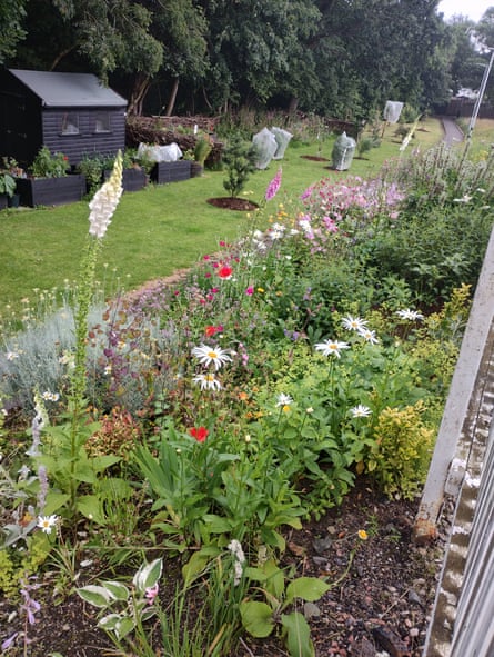 A long bed of flowers next to a pavement and a tree-dotted lawn with a black shed and planters in the background