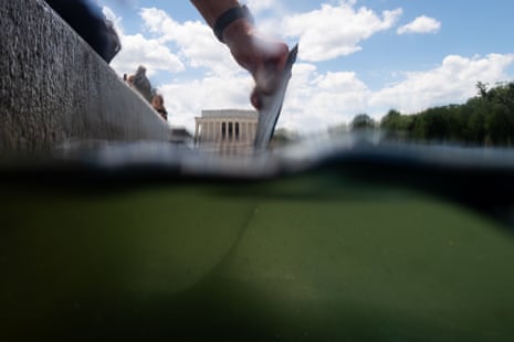 A man lifted a piece of sealant that had become detached from the newly renovated floor of the Lincoln Memorial reflecting pool on 19 June in Washington DC.