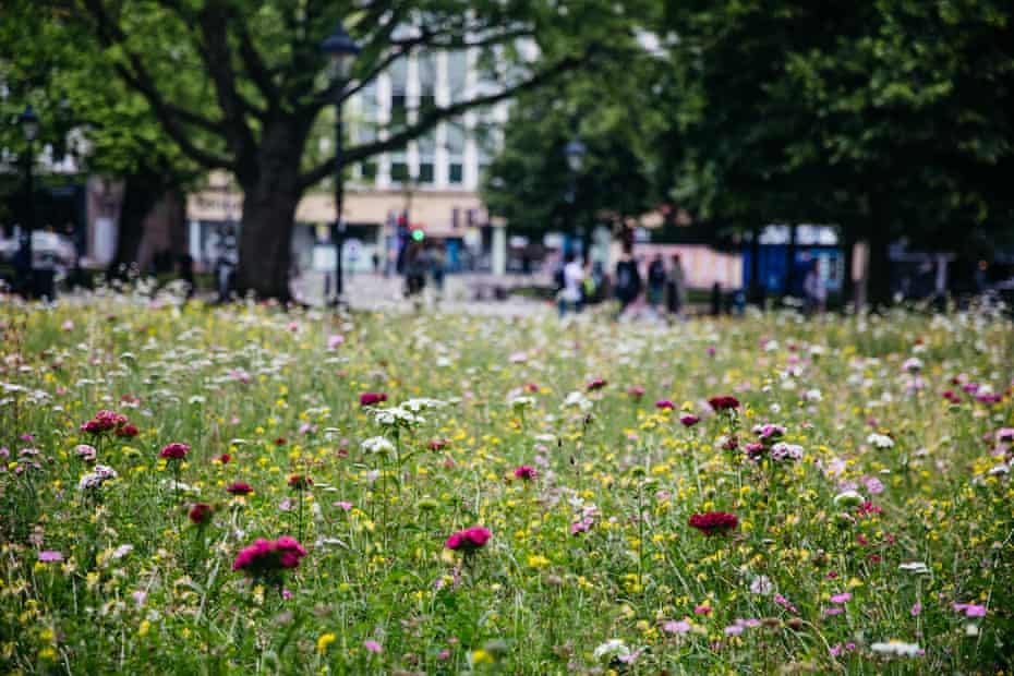 Flowers on College Green in front of Bristol Cathedral