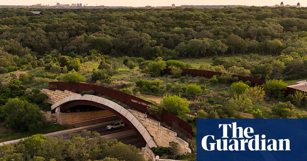 Real Talk: San Antonio Built a Whole Forest Over a Six-Lane Highway to Keep the Streets and Wildlife Safe