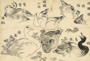 2020,3015.4 ‘Various aquatic birds’ Studies of various types of water bird swimming and diving among river weeds. This work seems to have been intended as a kind of picture thesaurus. Often several variant names -- some archaic, some apparently fanciful – are given for a particular bird. Here they are named, clockwise from top right: little grebe, mallard duck/wild duck, swan, Mandarin duck/water bird, and seagull (tern). The diving grebe (in silhouette upper right) and mallard duck (bottom centre) appear again in the famous BM painting, Ducks in flowing water, done in 1847, when Hokusai was 88 (BM 1913,0501,0.320). hokusai Hokusai: The Great Picture Book of Everything exhibition at the British Museum.