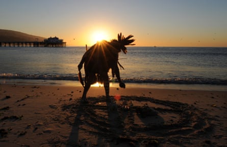 Tribal elder Mati Waiya from the Chumash Nation conducting the dedication ceremony for Surfrider Beach in Malibu as it became the first World Surfing Reserve in 2010.