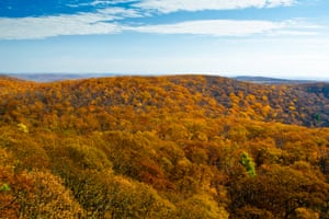 Autumn foliage In Black Rock Forest.