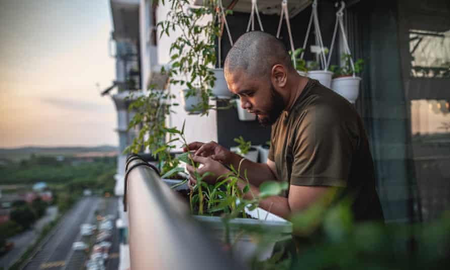No outdoor space? Why you don’t need a garden to garden | Gardening advice 1 Home gardening on a balcony