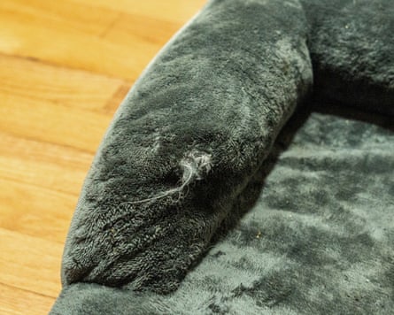 Close up photo of a Bedsure Orthopedic Bolster Dog Sofa
