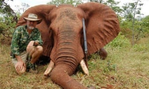 NSW Shooters and Fishers MP Robert Borsak with an elephant he shot while on safari in Africa. 