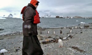 Head of Russian Orthodox church quizzes penguin on Antarctica.