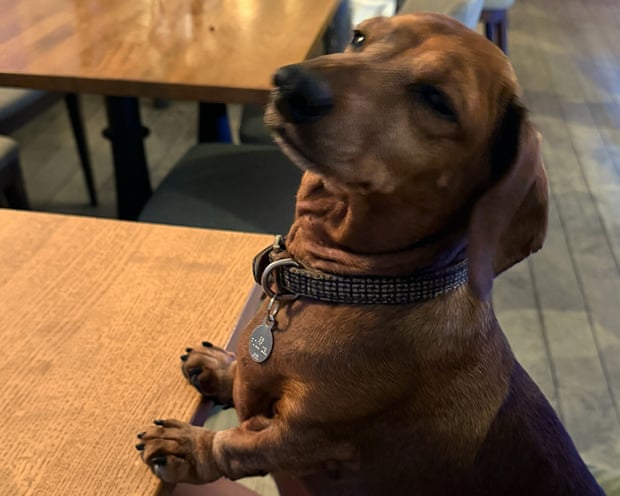 Slinky at the Anglesey Hotel in Gosport