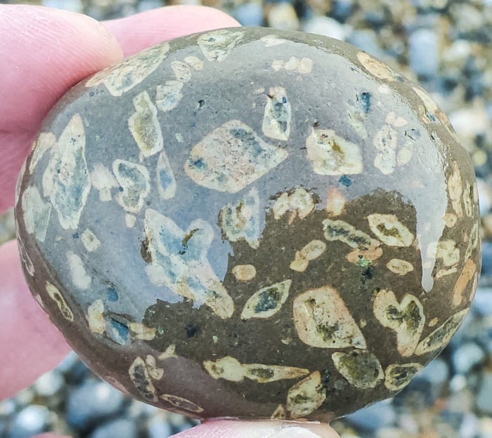 No Stone Unturned My Search For The Pebble Hunter S Holy Grail
