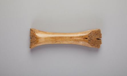 A slim, shaped piece of bone