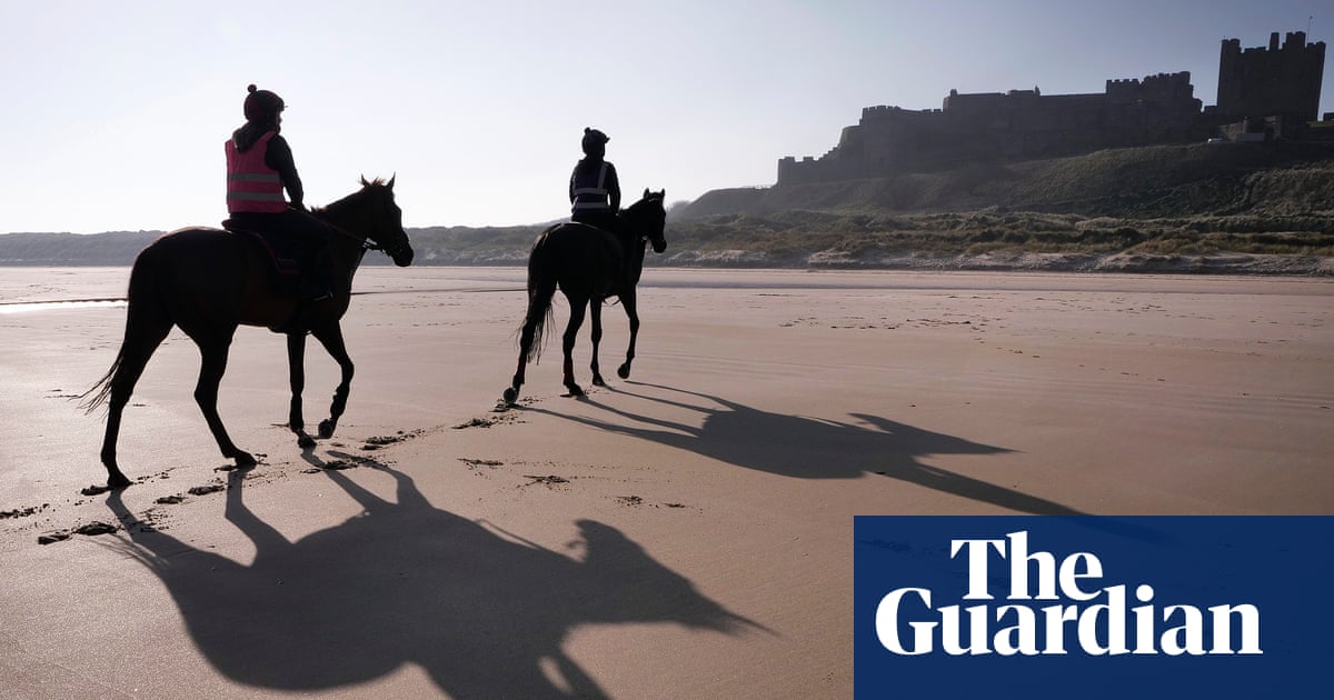 Minella Study can ride the crest of a wave for Adam Nicol at Cheltenham