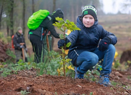 A young boy among a group of people planting a maple-type sapling
