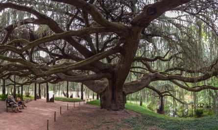 Arboretumu de la Vallee-aux-Loups