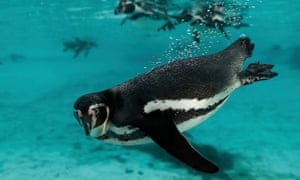 Chessington jobs Chessington jobs