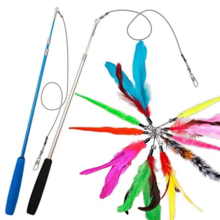 A Cat Feather Toy displayed on a white background