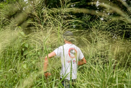 A man in white T-shirt walking through overgrown vegetation
