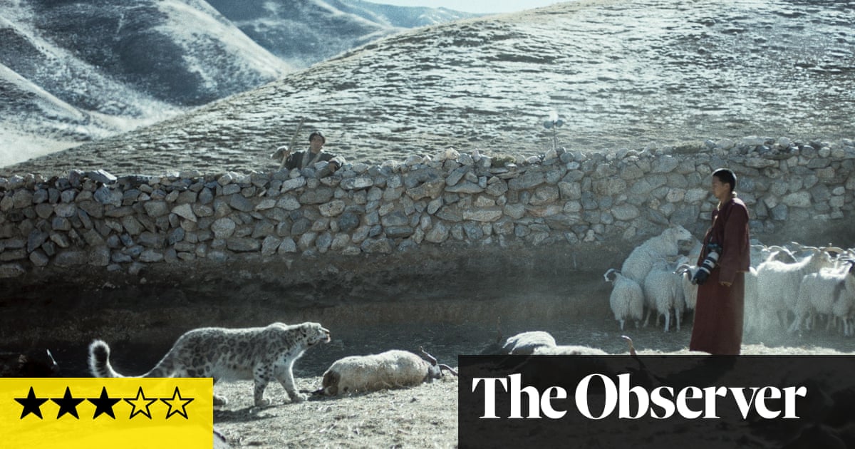Snow Leopard review - striking Tibetan drama about one big cat's fate
