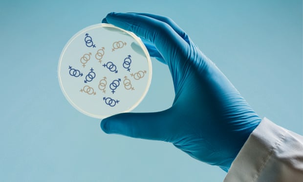 Scientist holding a Petri dish