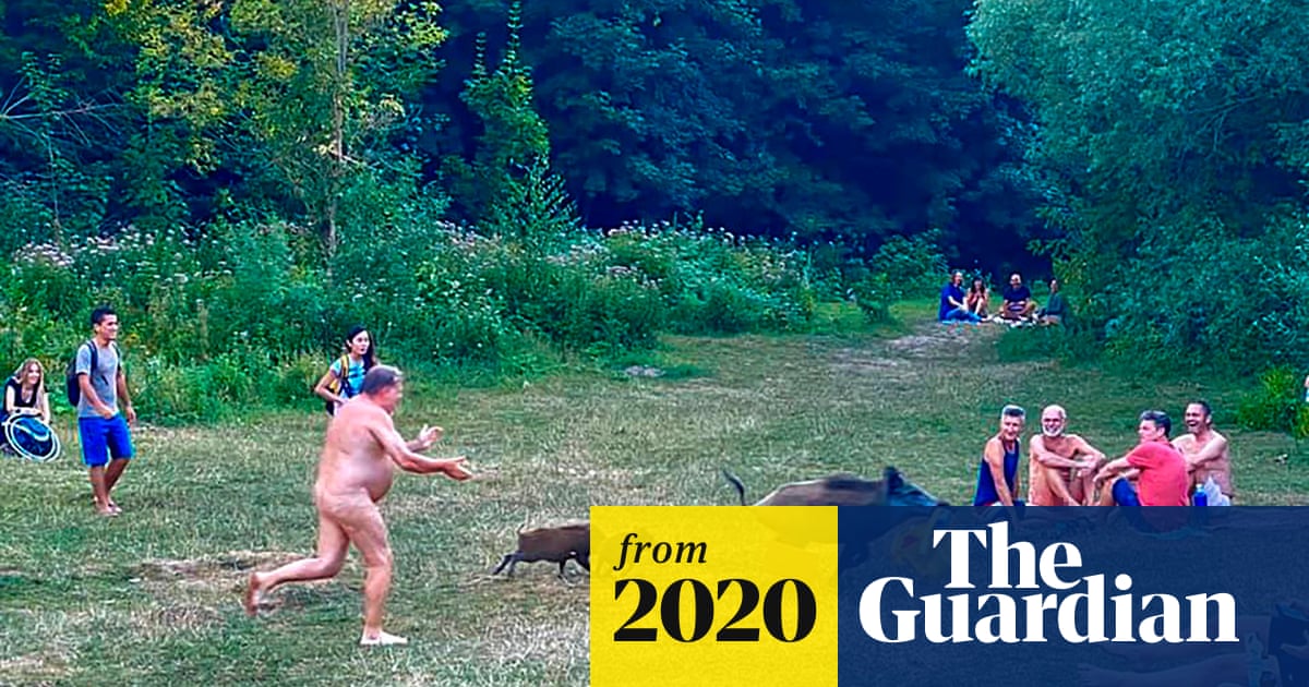 You swine! German nudist chases wild boar that stole laptop
