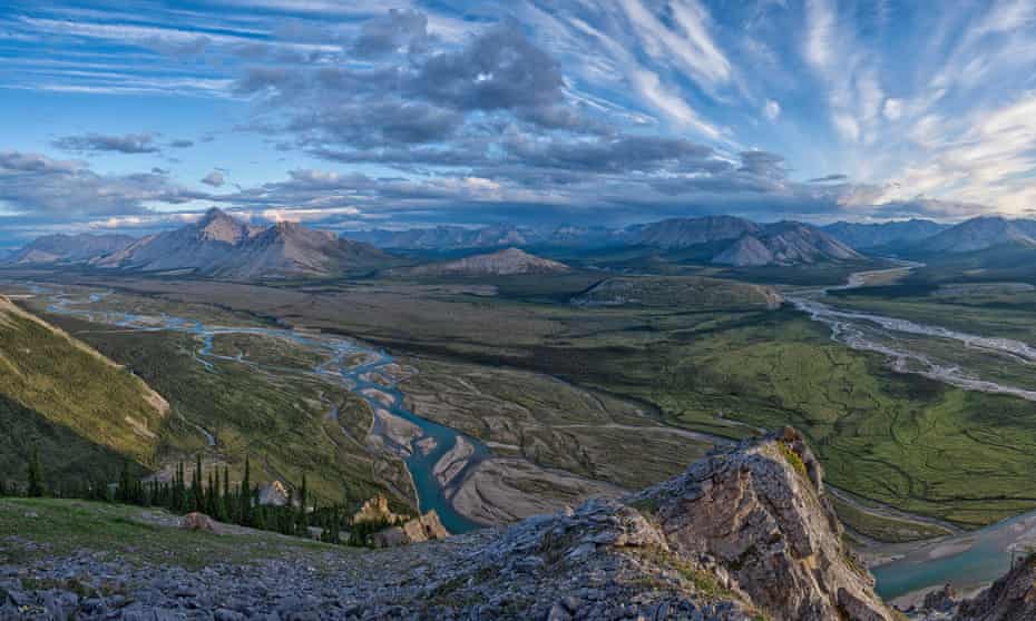 ‘We are mongrel creatures on a mongrel planet, and we have to be flexible to survive’ … Wind river, Yukon, Canada.