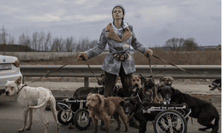 Anastasiya Tykha and her dogs attempting to travel from Irpin to Kyiv under Russian fire in March.