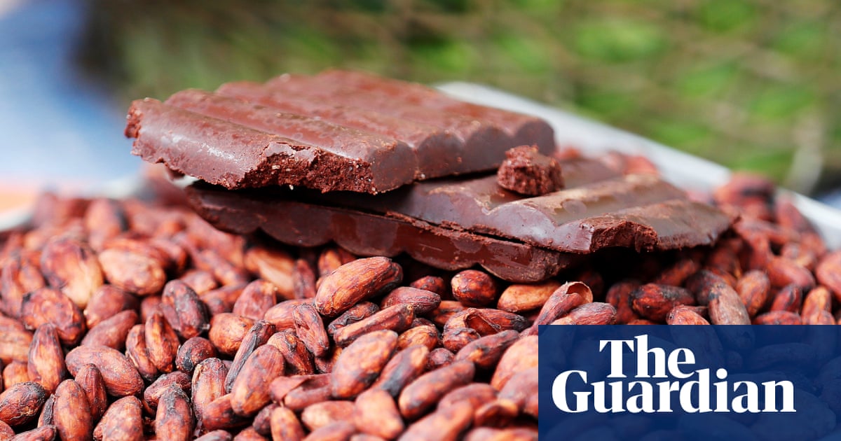 Scientists claim to have unlocked secret sauce' needed for fine chocolate