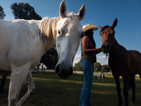White horse in the foreground, figure in cowboy hat to the right with a brown horse against a cerulean blue sky