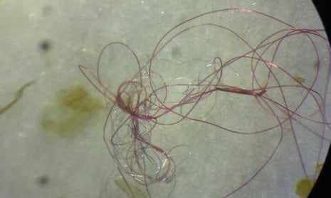 Plastic microfibers is one of the most widespread, yet largely invisible, form of plastic waste.