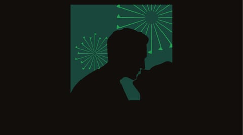 An illustration of a couple embracing in silhouette in a window, with green fireworks made up of green flags in a green sky behind them