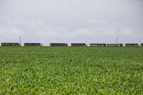 Grain trucks cross a soybean plantation in Formosa do Rio Preto, Bahia state. Brazil is a leading producer of soya that has been linked with deforestation.