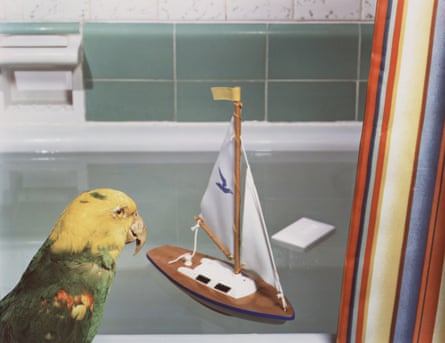 Jo Ann Callis - Parrot and Sailboat, 1980
