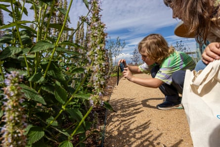 A young boy crouches down on a path next to a woman to photograph flowers growing along the border.
