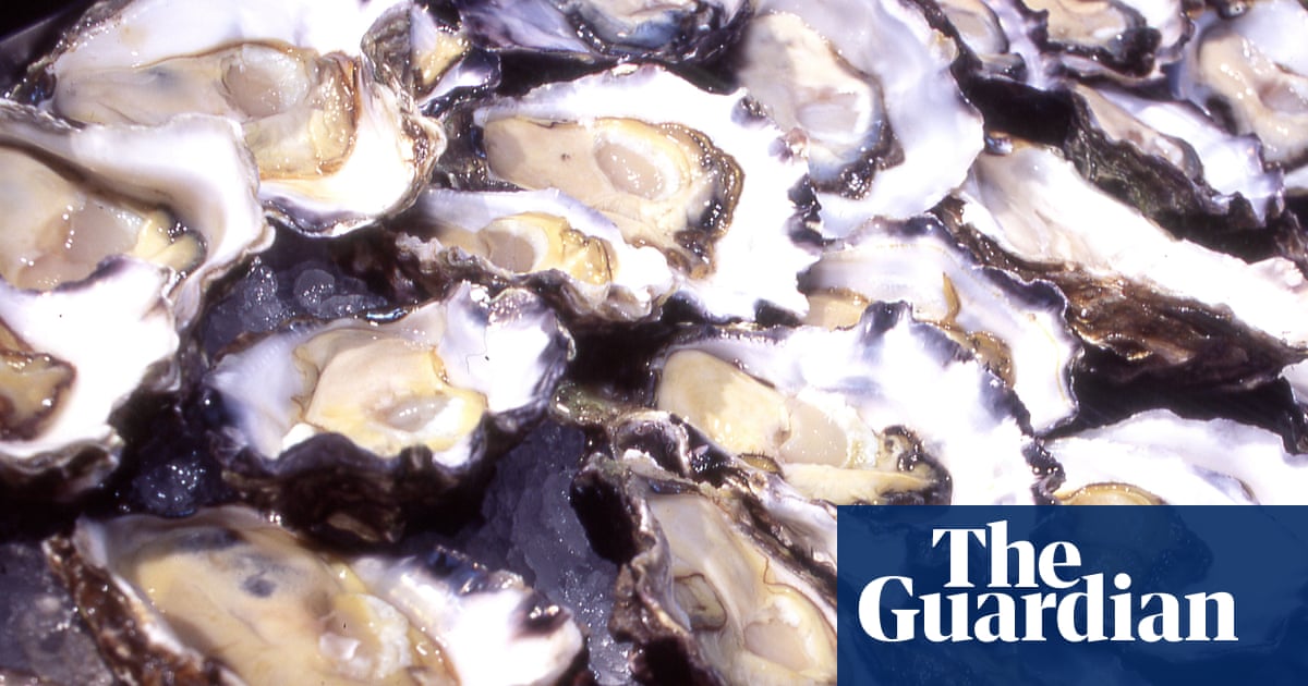 Now you seafood, now you don’t: $350k worth of oysters vanish without a trace in NSW