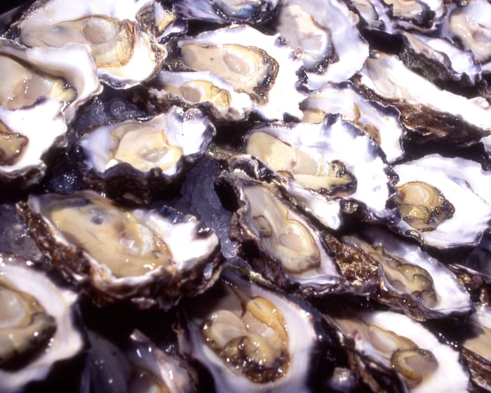 Now you seafood, now you don’t: $350k worth of oysters vanish without a trace in NSW