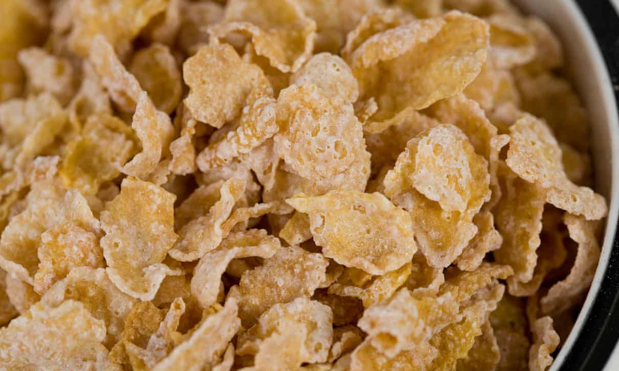 Cocoane frosted cereal detected by dog