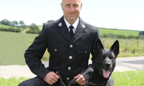 Needle Felted Mouse Mice Realistic Mouse With Ice Creame Felted Animals White Mouse Wool Felt Mouse Miniature Felted Mice Mouse Figurine Eco Felt Mouse Felt Animals Needle Felted Animals