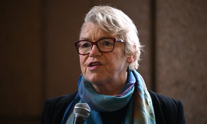 Greens senator Janet Rice.