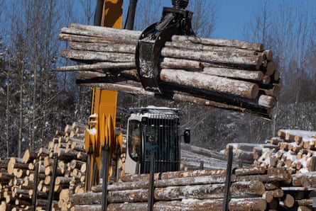A worker uses a log grapple to collect logs